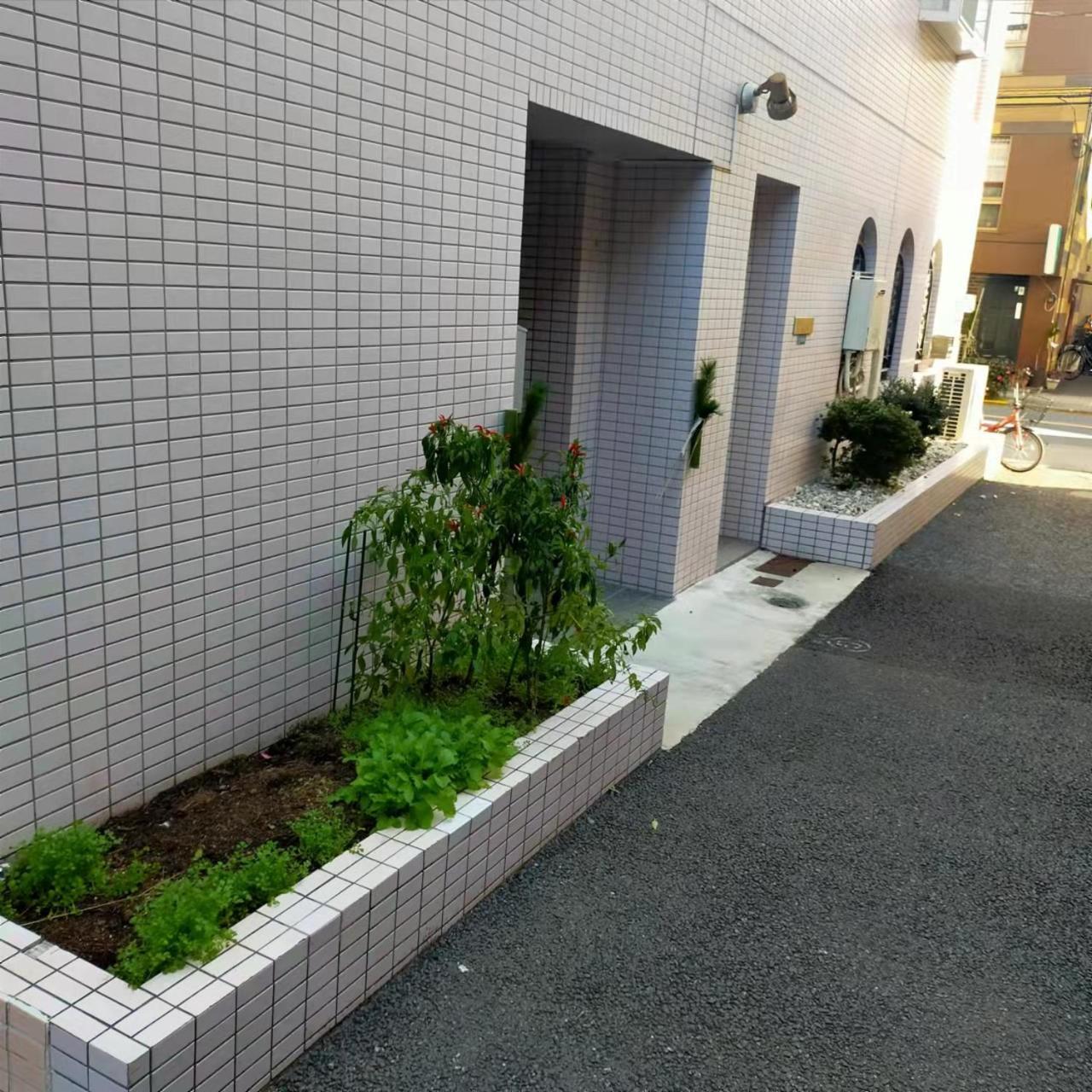 Shiki No Sai Asakusa Tokio Buitenkant foto